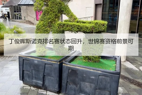 ding-jun-hui-si-nuo-ke-pai-ming-sai-zhuang-tai-hui-sheng-shi-jin-sai-zi-ge-qian-jing-ke-qi-3-451.jpg