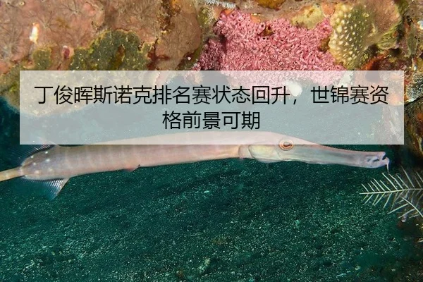丁俊晖斯诺克排名赛状态回升，世锦赛资格前景可期