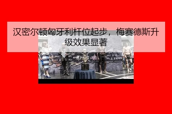 han-mi-er-dun-xiong-ya-li-gan-wei-qi-bu-mei-sai-de-si-sheng-ji-xiao-guo-xian-zhu-2-541.jpg
