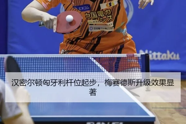 han-mi-er-dun-xiong-ya-li-gan-wei-qi-bu-mei-sai-de-si-sheng-ji-xiao-guo-xian-zhu-3-493.jpg