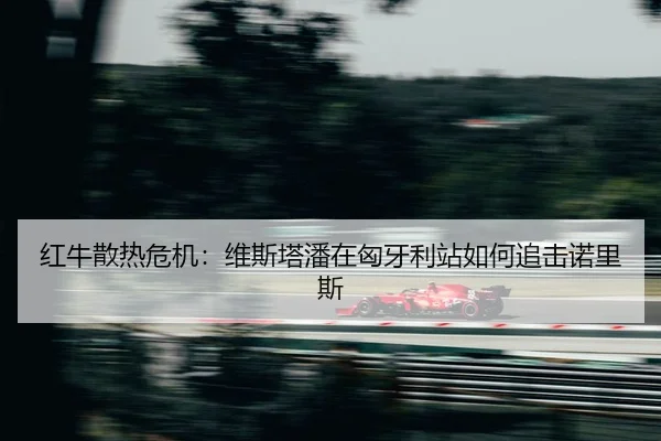 hong-niu-san-re-wei-ji-wei-si-ta-pan-zai-xiong-ya-li-zhan-ru-he-zhui-ji-nuo-li-si-2-443.jpg