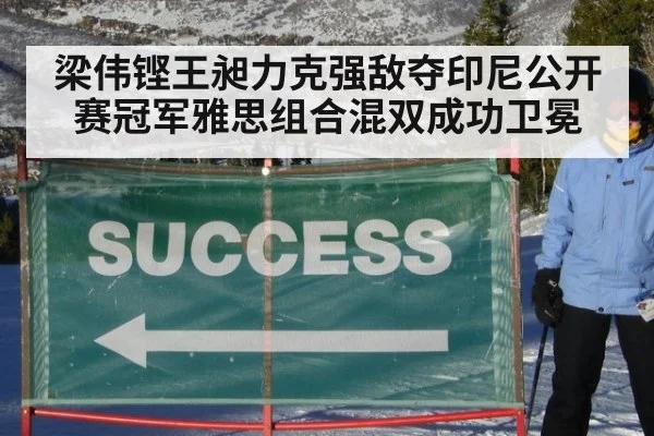 梁伟铿王昶力克强敌夺印尼公开赛冠军雅思组合混双成功卫冕