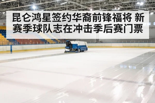 hockey rink arena