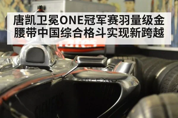 唐凯卫冕ONE冠军赛羽量级金腰带中国综合格斗实现新跨越
